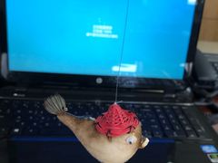 -肆月河豚·新淮扬(金融街店)