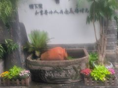 -慢丽江·云南野生菌土鸡锅(付家庄店)