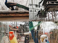 -洛阳马蹄泉旅游度假村