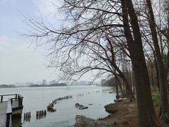 -长广溪湿地公园