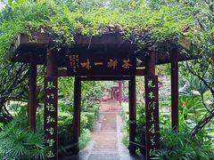 -峨眉山报国寺