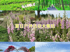 -东平国家森林公园