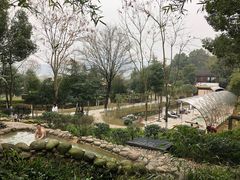 -三江森林温泉度假区