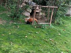 -西安秦岭野生动物园