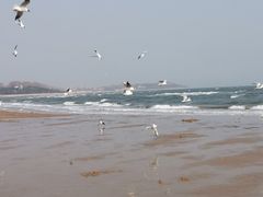 -老虎石海上公园