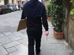 -圣母百花大教堂穹顶