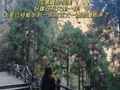 -刘伯温故里景区百丈漈