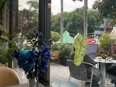 -花神·轻食简餐·咖啡馆·花卉绿植(荷兰花卉小镇店)
