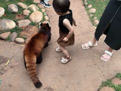 -昆明动物园