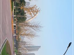 -南京眼步行桥