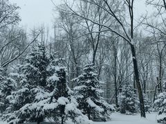 -森林公园(尖草坪区)