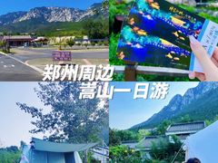 -禅宗少林·音乐大典