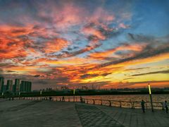 -东港音乐喷泉广场