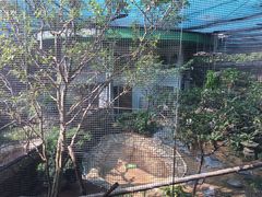 -九龙公园