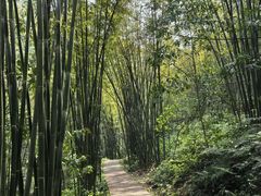 -四洞沟景区