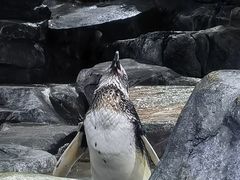 -上海海昌海洋公园
