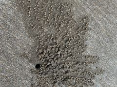 -东海半边山旅游度假区