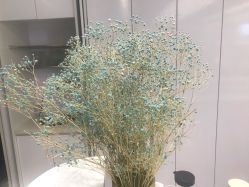-SalonRivelin 沙龙瑞菱
