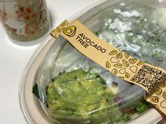 -油梨树AVOCADO TREE(嘉里中心店)