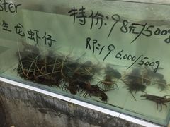 -海盗餐厅