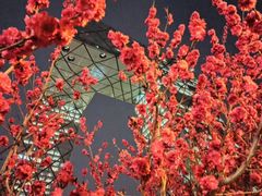 -中央广播电视总台(光华路办公区)