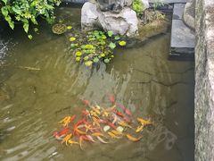 -广富林宰相府酒店·水云间