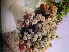 -Babycat私家御饼屋(龙头路一店)