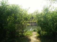 -白鹭湾湿地公园