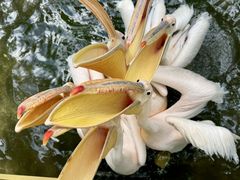 -水上乐园·欢乐世界