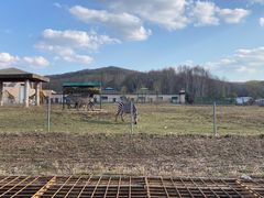 -哈尔滨北方森林动物园