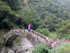 -龙湾潭国家森林公园