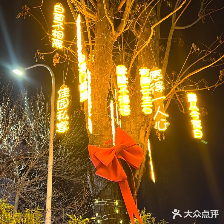 雪落人间，来佳园赴一场冬日恋歌！