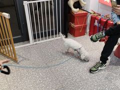 -宠物家(角门东店)