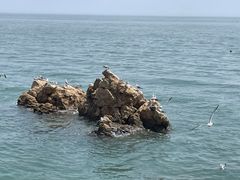 -长岛南北长山旅游景区