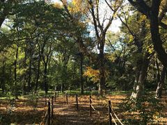 -长春市南湖公园