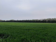 -汉长安城未央宫国家考古遗址公园