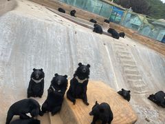 -东方熊牧场