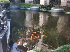 -上海浦东星河湾酒店