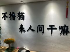 -李小姐の猫咖啡馆(五角场店)