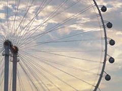 -史努比缤纷世界