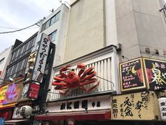 -蟹道乐(道顿堀本店)