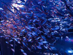 -成都浩海立方海洋公园