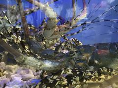 -宜宾海鲜酒家·三十年老字号