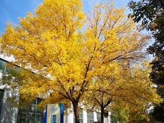 -长安大学(北校区)