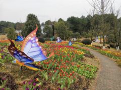 -铁山坪森林公园