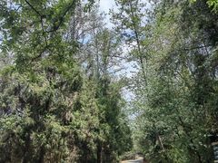 -云南野生动物园