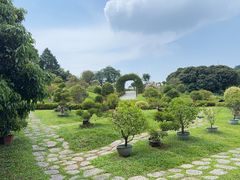 -东莞植物园