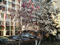 -北京京伦饭店