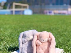 -北京大学五四田径场