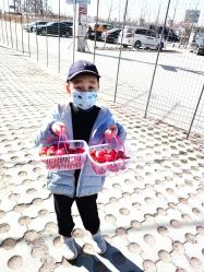 -蓝呗呗蓝莓草莓采摘园(通州区马驹桥店)